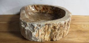 Free Shipping - Rustic Petrified Wood Sink