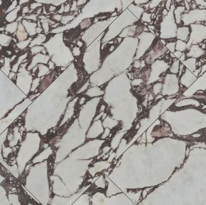 EXOTIKA Violetta 24x48 Polished Porcelain Tile